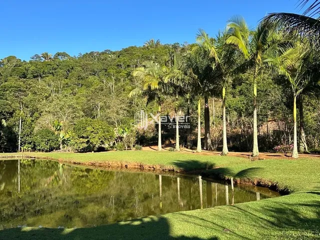 Imagem 14: Sítio à Venda com 32.000 m² em Panelas, Domingos Martins/ES - Casa 3 Quartos, Pomar