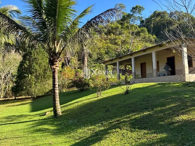 Imagem 16: Sítio à Venda com 32.000 m² em Panelas, Domingos Martins/ES - Casa 3 Quartos, Pomar