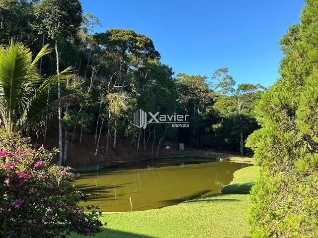 Imagem 2: Sítio à Venda com 32.000 m² em Panelas, Domingos Martins/ES - Casa 3 Quartos, Pomar