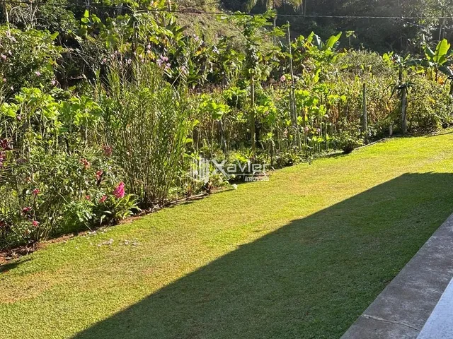 Imagem 6: Sítio à Venda com 32.000 m² em Panelas, Domingos Martins/ES - Casa 3 Quartos, Pomar