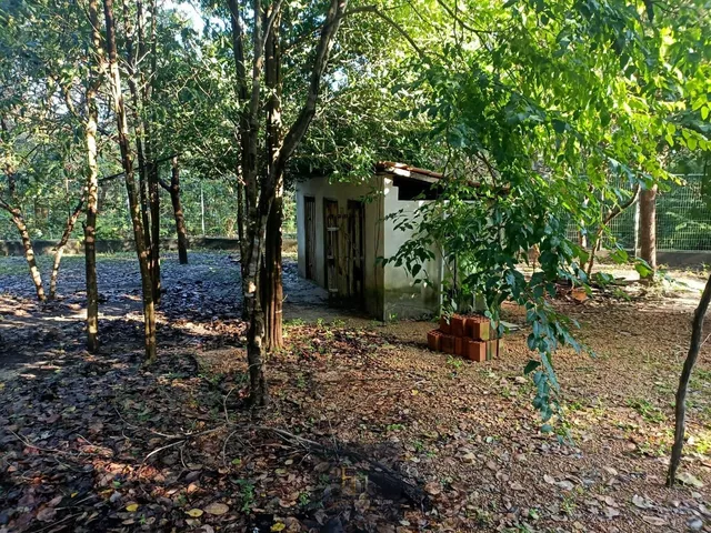 Imagem 4: Sítio à venda no bairro Centro - Batalha/PI