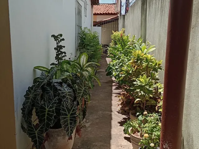 Imagem 12: Casa em Acarape, Teresina/PI