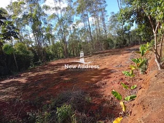 Imagem 2: Terreno com 1.000 m² à venda em Alfredo Chaves - ES
