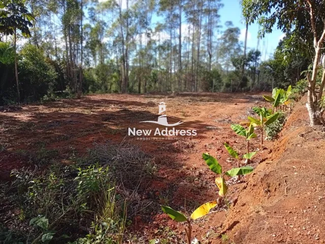 Imagem 4: Terreno com 1.000 m² à venda em Alfredo Chaves - ES