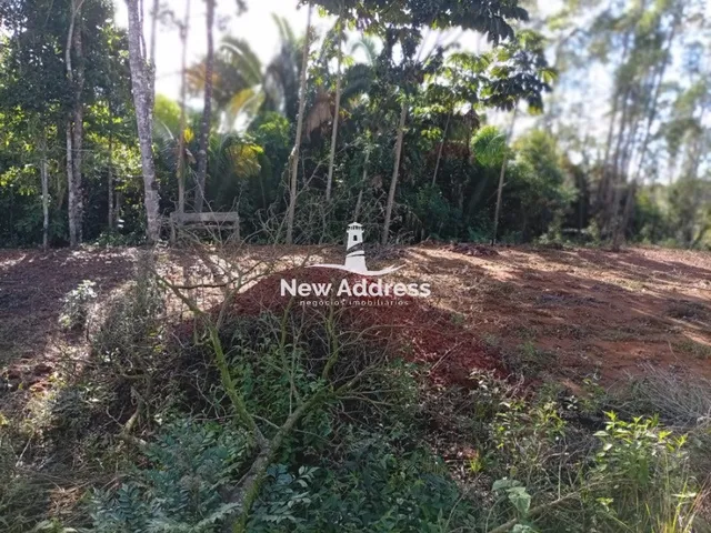 Imagem 12: Terreno com 1.000 m² à venda em Alfredo Chaves - ES