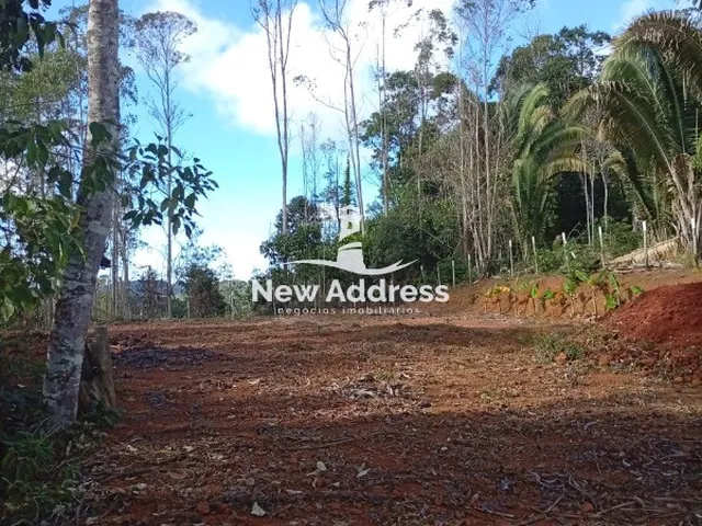 Imagem 9: Terreno com 1.000 m² à venda em Alfredo Chaves - ES
