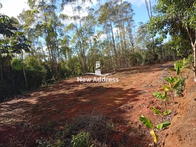 Imagem 5: Terreno com 1.000 m² à venda em Alfredo Chaves - ES