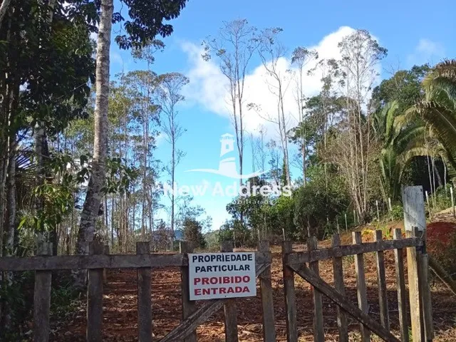 Imagem 3: Terreno com 1.000 m² à venda em Alfredo Chaves - ES