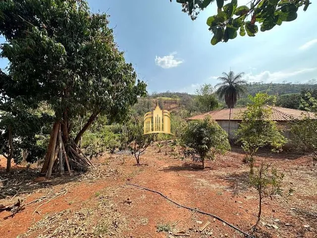 Imagem 11: Venda de Lindo Sítio com Casa e Lago em Esmeraldas - R$250.000,00