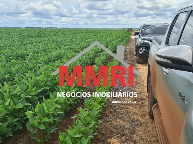 Imagem 4: FAZENDA RURAL em NOVA UBIRATÃ - MT, Área Rural