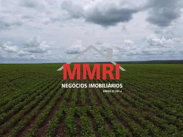 Imagem 7: FAZENDA RURAL em NOVA UBIRATÃ - MT, Área Rural