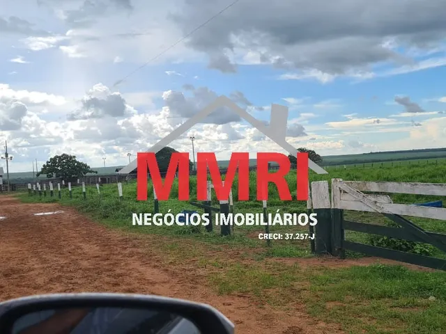 Imagem 8: FAZENDA RURAL em NOVA UBIRATÃ - MT, Área Rural