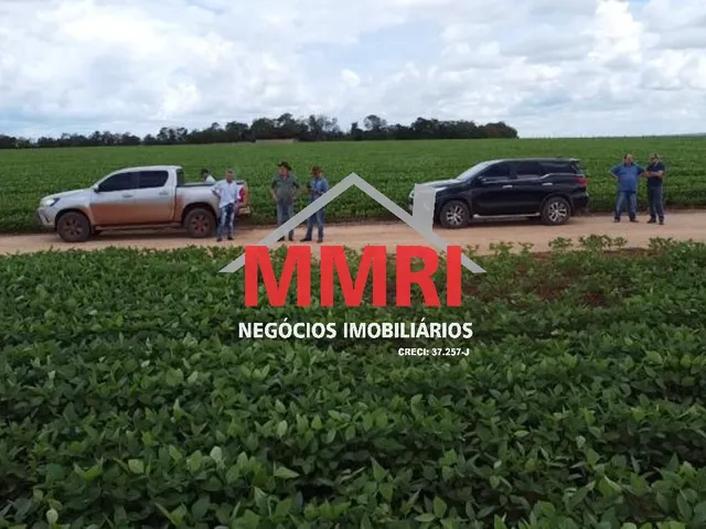 Imagem 11: FAZENDA RURAL em NOVA UBIRATÃ - MT, Área Rural