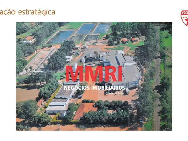 Imagem 3: Frigorifico INDUSTRIAL em RIO BRILHANTE - MS, Buriti