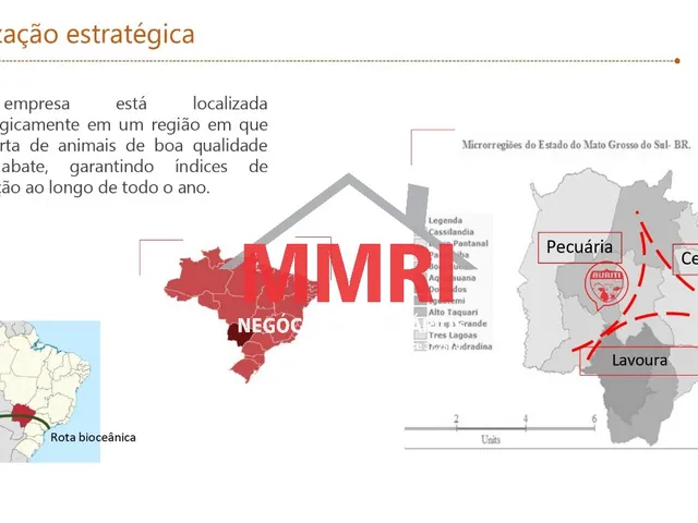Imagem 4: Frigorifico INDUSTRIAL em RIO BRILHANTE - MS, Buriti