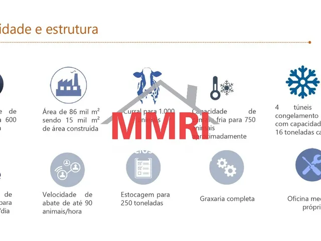 Imagem 5: Frigorifico INDUSTRIAL em RIO BRILHANTE - MS, Buriti