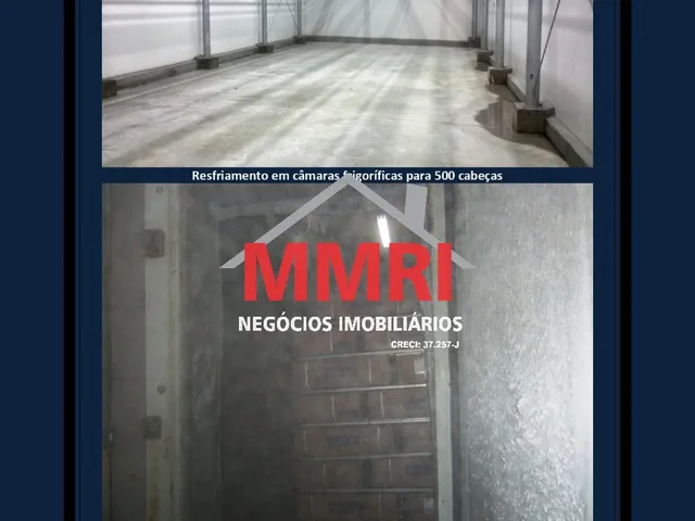 Imagem 12: Frigorifico INDUSTRIAL em LUZIÂNIA - GO, CENTRO