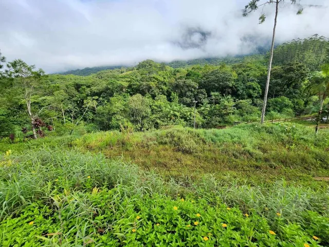 Imagem 5: CHACARA COM 30M² NO BAIRRO RIBEIRÃO GRANDE DO NORTE