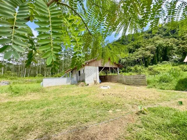 Imagem 3: Sítio Escriturado a Venda, no Bairro Rio da Luz, Jaraguá do Sul