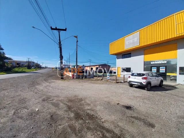 Imagem 2: Pavilhão/Galpão para alugar no bairro Vila Macarini - Criciúma/SC