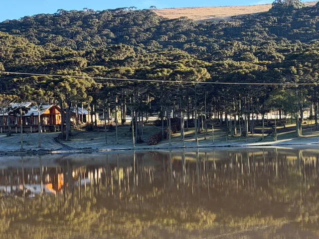Imagem: Sítio Alto Padrão À Venda Próximo a