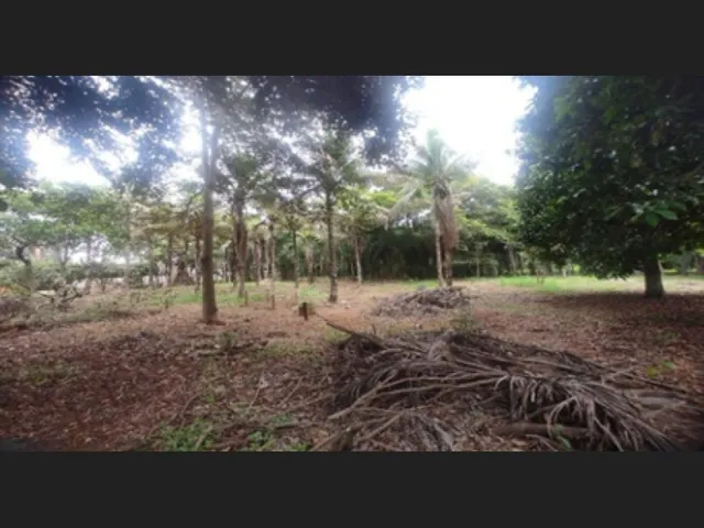 Imagem 2: Maravilhosa Chácara 10.500 m² Pq. Maracanã
