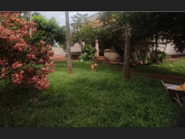 Imagem 10: Maravilhosa Chácara 10.500 m² Pq. Maracanã