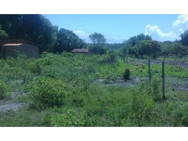 Imagem: Chacara em Barreira de Jacuruna