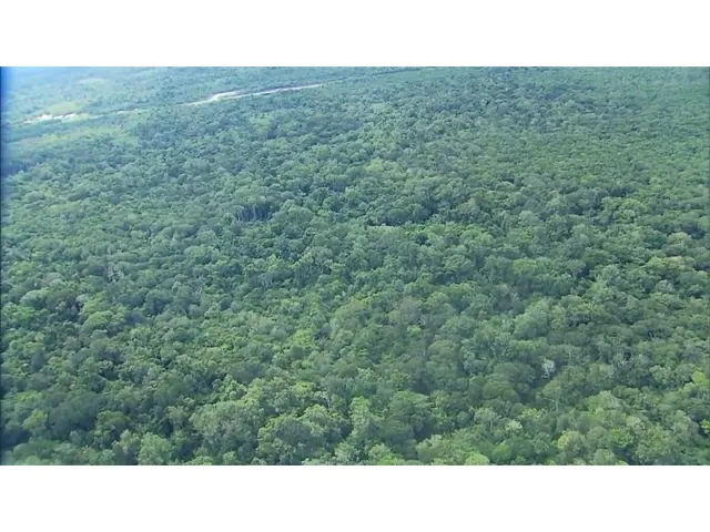 Imagem: Terra 80 Alqueires em Cujubim