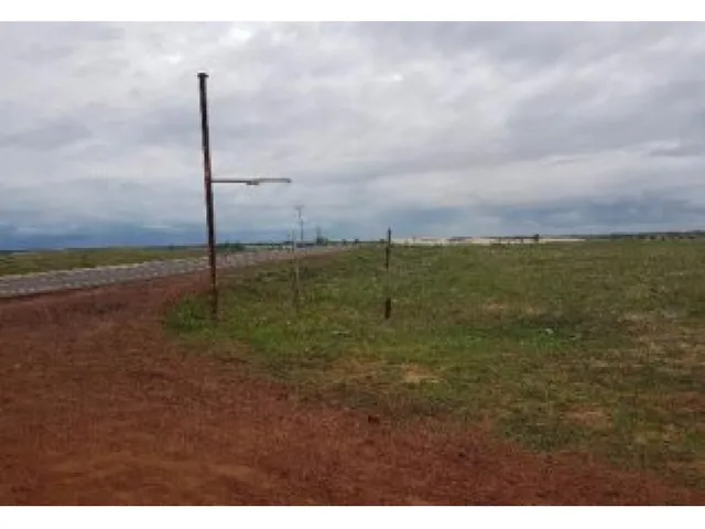 Imagem 3: Terreno Ao Lado da Arvore Penteada