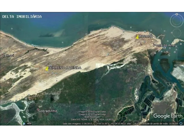 Imagem 8: Terreno Ao Lado da Arvore Penteada