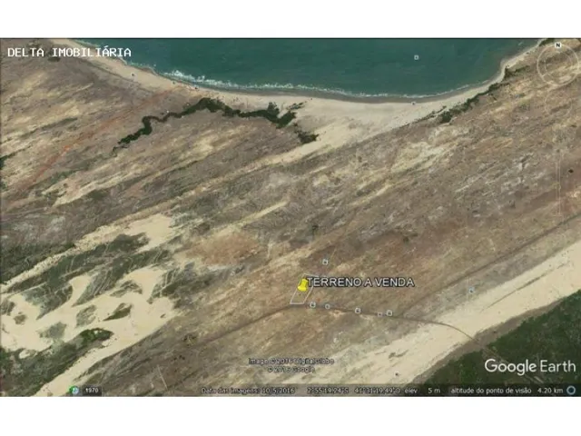 Imagem 10: Terreno Ao Lado da Arvore Penteada