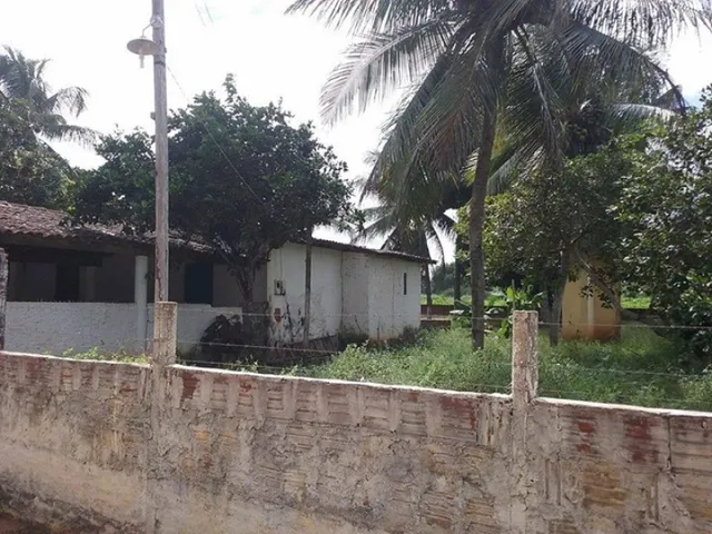 Imagem: Mini Granja