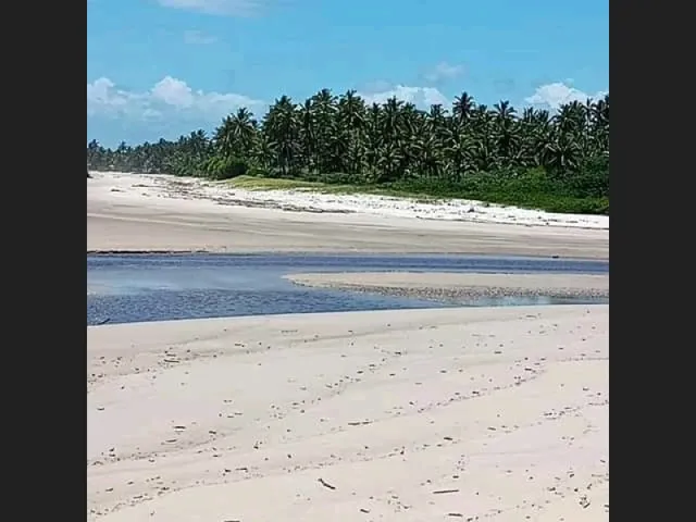 Imagem 1: 600 M2 a 250 Metros da Praia