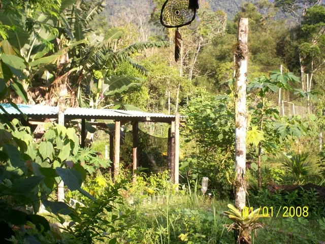 Imagem 9: Linda Chácara / Sítio em Angra dos Reis