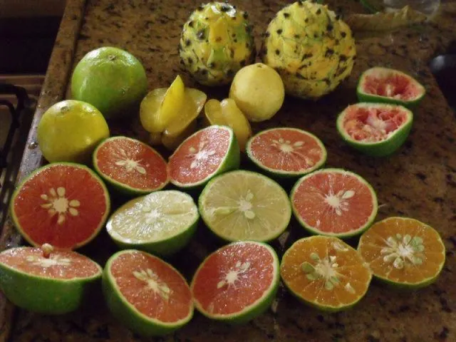 Imagem 11: Linda Chácara / Sítio em Angra dos Reis