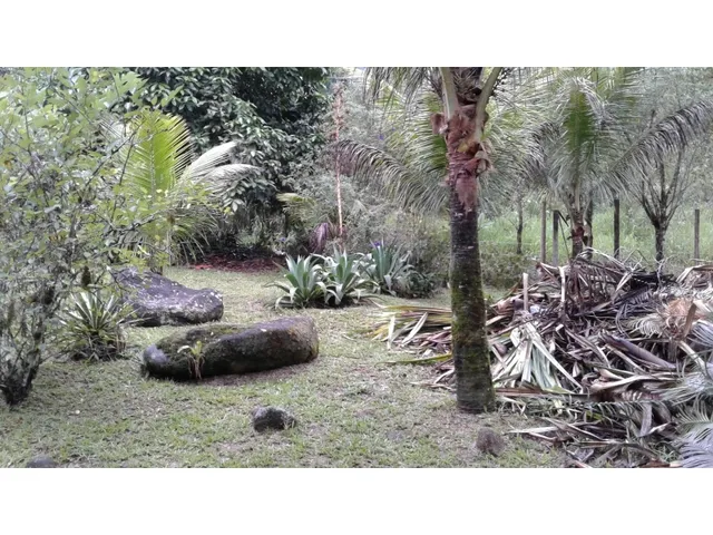 Imagem 8: Linda Chácara / Sítio em Angra dos Reis