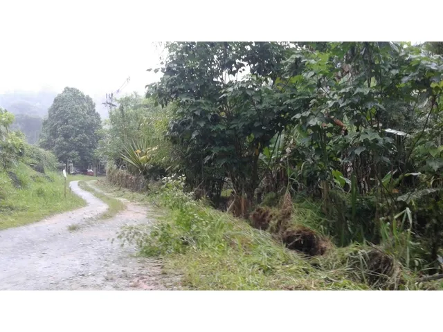 Imagem 6: Linda Chácara / Sítio em Angra dos Reis