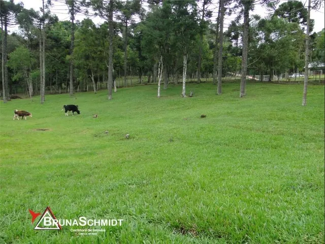 Imagem: Chácara a Venda em Corredeiras - Fragosos