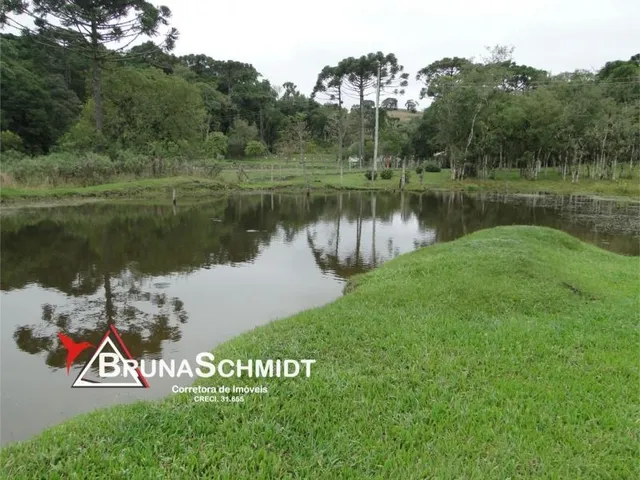 Imagem 8: Chácara a Venda em Corredeiras - Fragosos - Campo Alegre