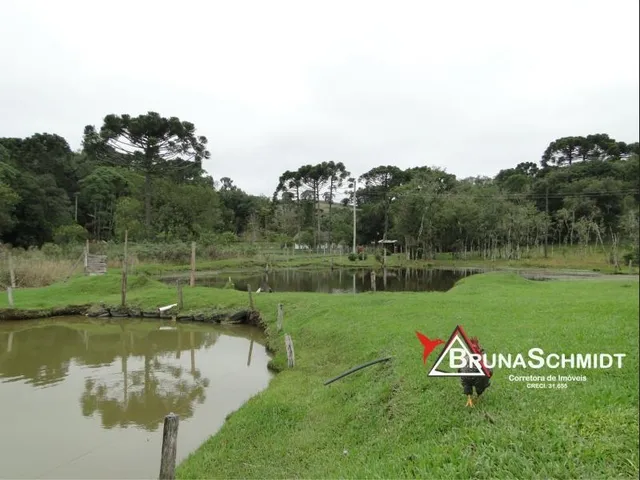 Imagem 9: Chácara a Venda em Corredeiras - Fragosos - Campo Alegre