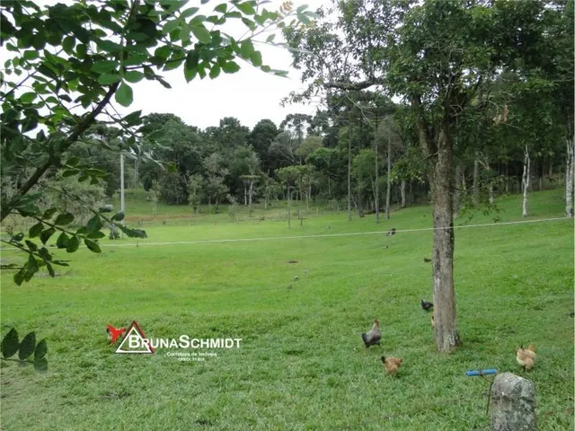 Imagem 6: Chácara a Venda em Corredeiras - Fragosos - Campo Alegre