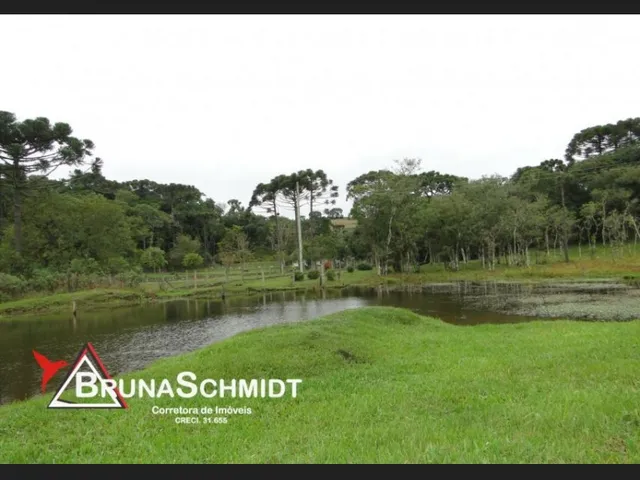 Imagem 5: Chácara a Venda em Corredeiras - Fragosos - Campo Alegre