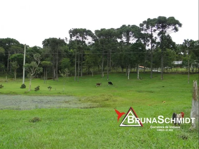 Imagem 2: Chácara a Venda em Corredeiras - Fragosos - Campo Alegre