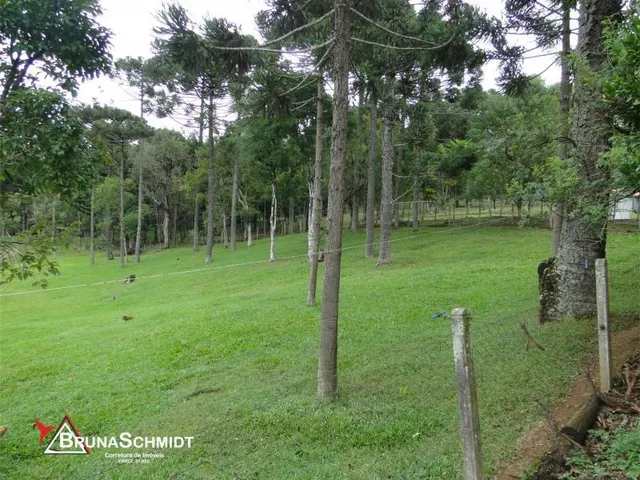 Imagem 4: Chácara a Venda em Corredeiras - Fragosos - Campo Alegre