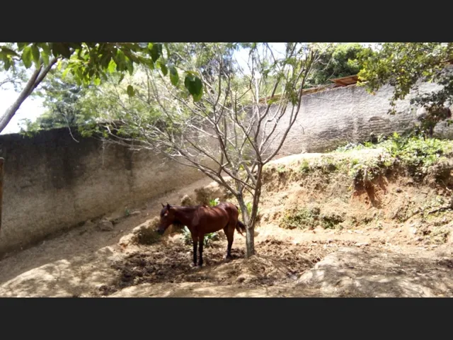 Imagem: Terreno em Florianópolis no Bairro Pantanal
