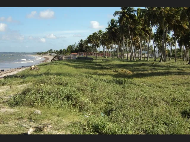 Imagem 6: Pitimbu-Pb - Área Comercial À Venda na Av. Principal e À 50M do Mar