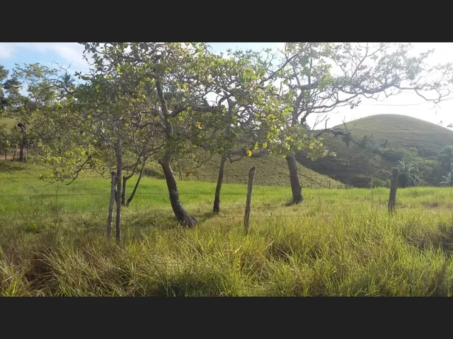 Imagem 12: Excelente Oportunidade de Investimento em Fazenda Produtiva e Documentada Como Empresa