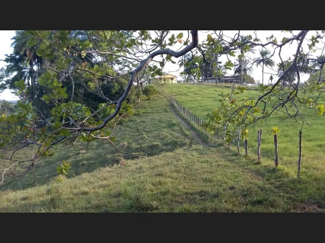 Imagem 6: Excelente Oportunidade de Investimento em Fazenda Produtiva e Documentada Como Empresa