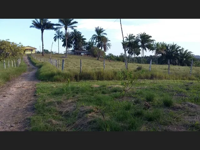 Imagem 15: Excelente Oportunidade de Investimento em Fazenda Produtiva e Documentada Como Empresa